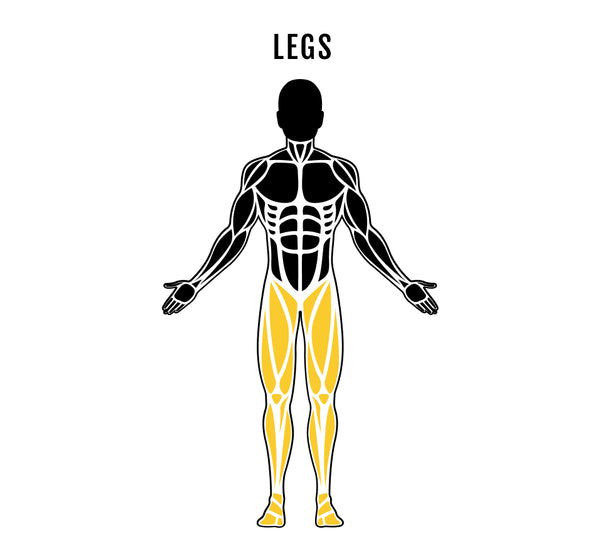 NEW! Leg Press Hack Squat Combo - Muscle Trained