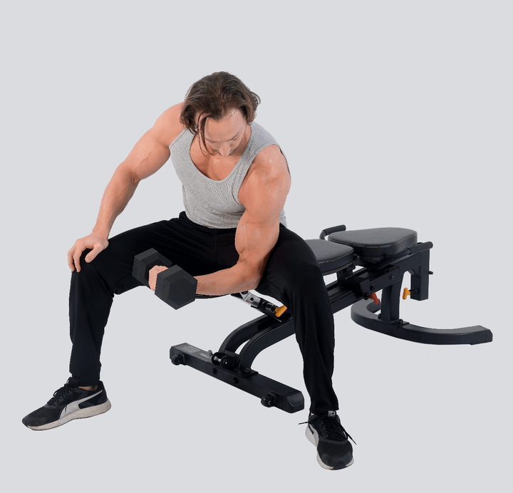 Workbench® F.I.D. Bench with Athlete Concentration Curl | Powertec | Home Gym Equipment |