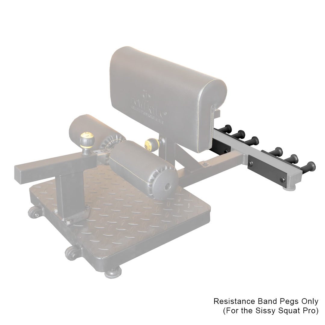 Sissy Squat Peg Attachment (Set of 2) - Powertec