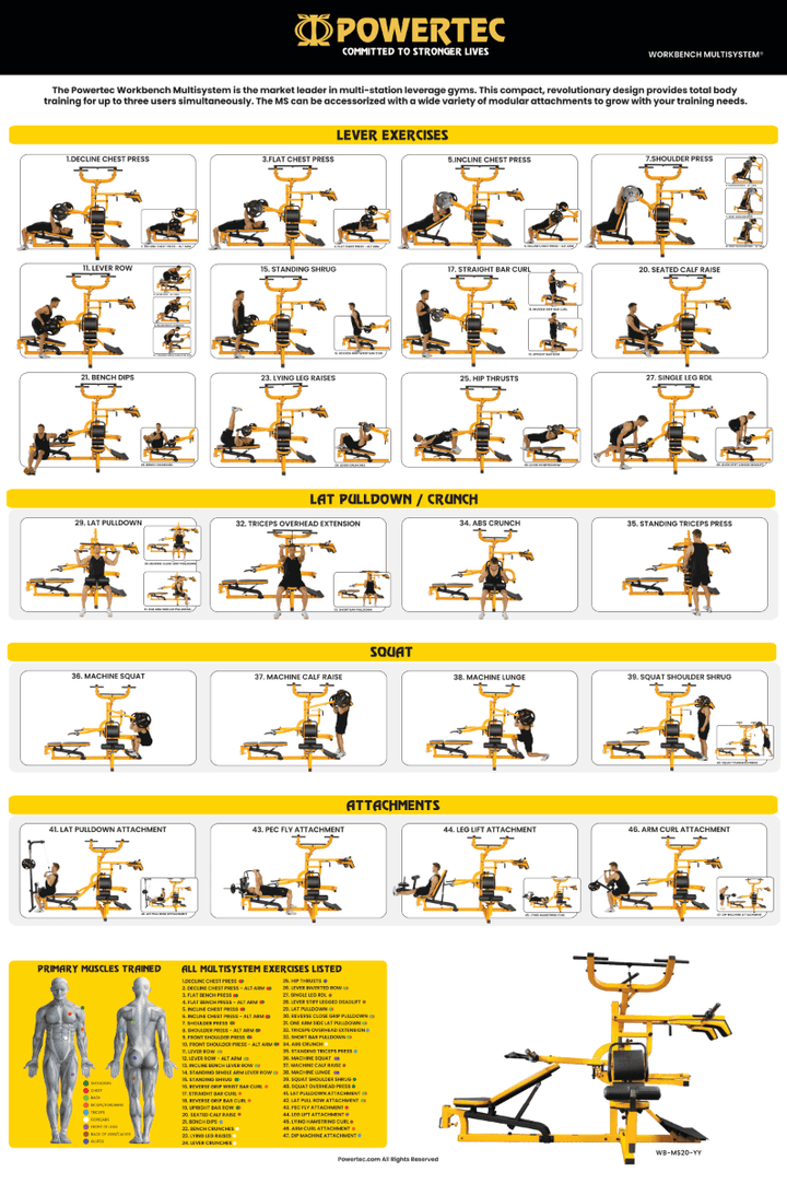 Printable Poster - Workbench Multisystem - Powertec