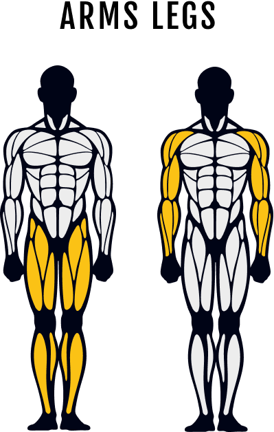 NEW! Belt Squat - Muscle Trained