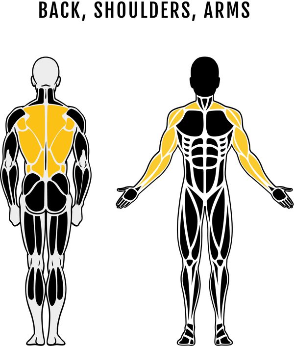 Workbench® Lat Tower Option - Muscle Trained