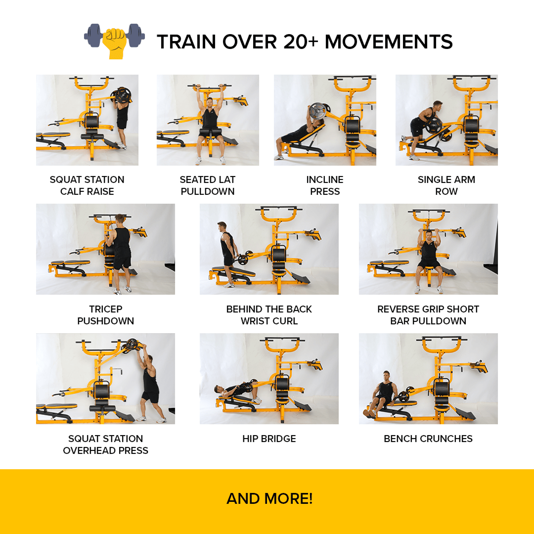 Workbench Multisystem®