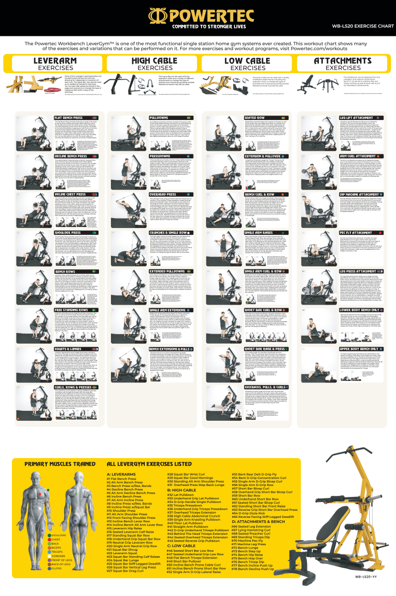 Full gym workout chart sale